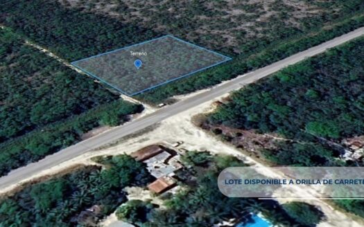 Oportunidad de Inversión Estratégica: Lote de 10,000 m² en la Ruta de los Cenotes